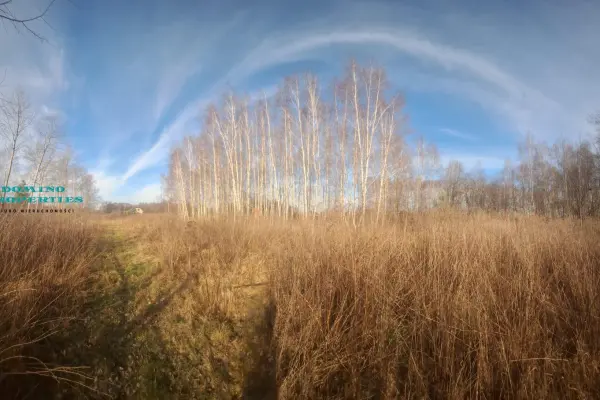 Zboiska, Radziejowice, Działka na sprzedaż