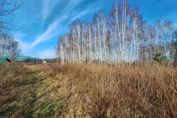 mazowieckie, żyrardowski, Radziejowice, Zboiska, Duży teren inwestycyjny tylko 30 min od CPK