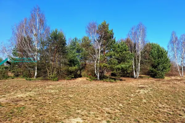 mazowieckie, warszawski zachodni, Stare Babice, Borzęcin Duży, Atrakcyjna działka rolno-budowlana w Borzęcinie Dużym